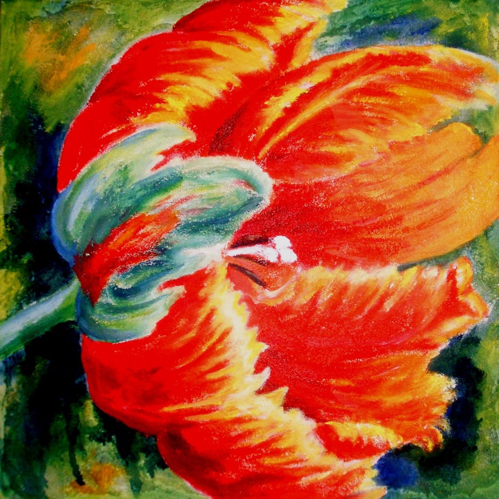 papageientulpe  bild  kunst von ulrike sallóssohns bei